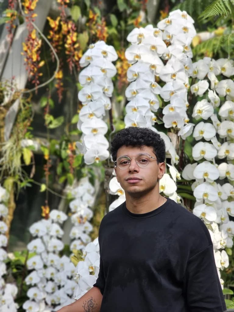 Diaa Adel - Founder of DWM Group